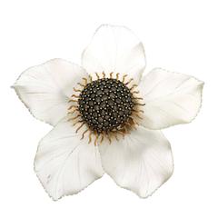 Crystal Cognac Diamonds Yellow Gold Hand-Carved Morning Glory Daisy Brooch 11
