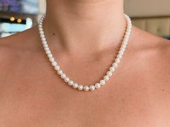 Single Strand 6.4mm Pearl Necklace 14k Yellow Gold