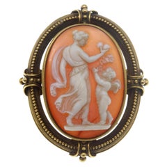 Shell Cameo and Gold Brooch