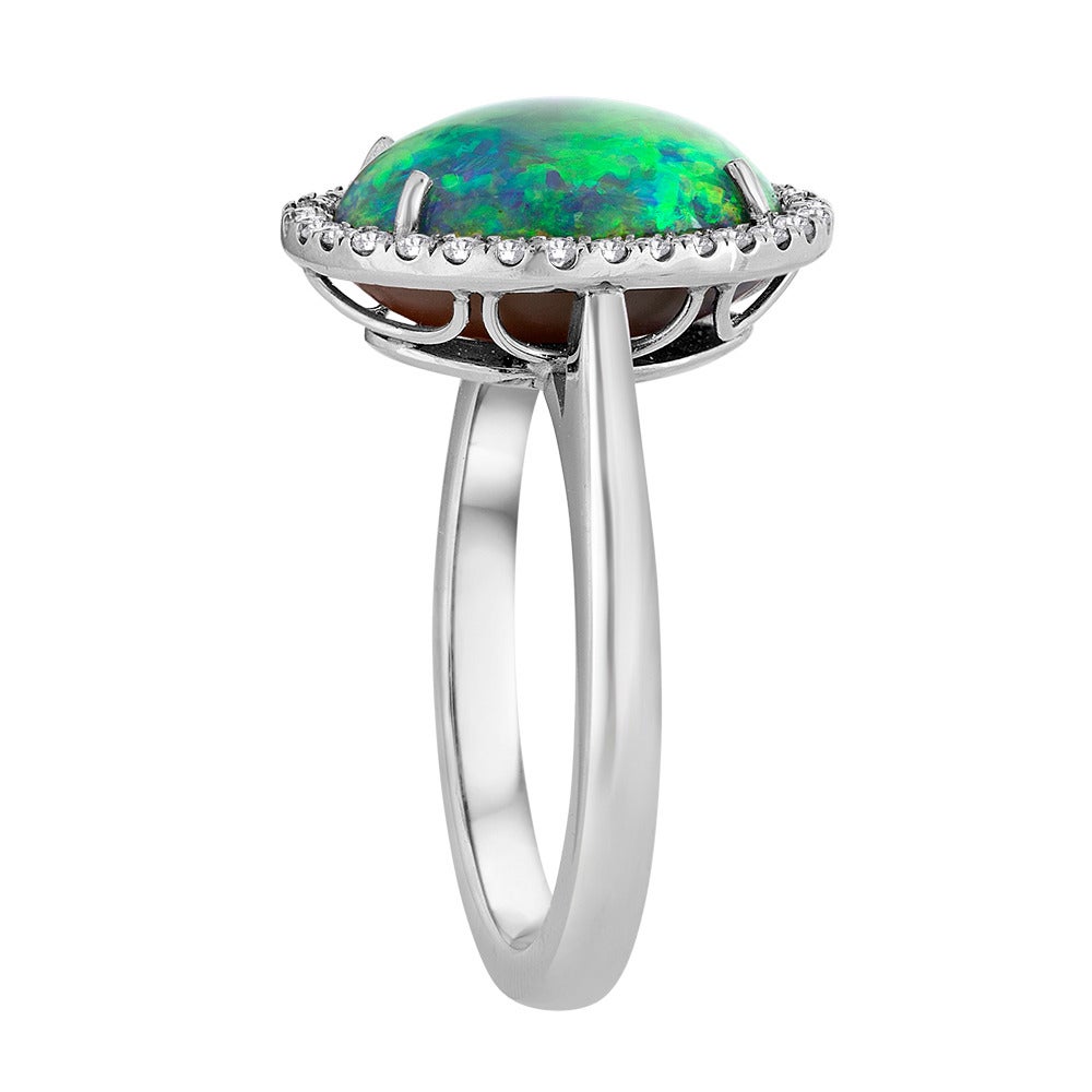 This beautiful ring features an oval cabochon Australian Opal center stone that is strong in it's play-of-color, containing the full spectrum. The center stone is prong-set in an 18k white gold setting and is surrounded by a single row of white pave