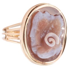An 18th-19th Century Agate Cameo Of A Gryllus Ring