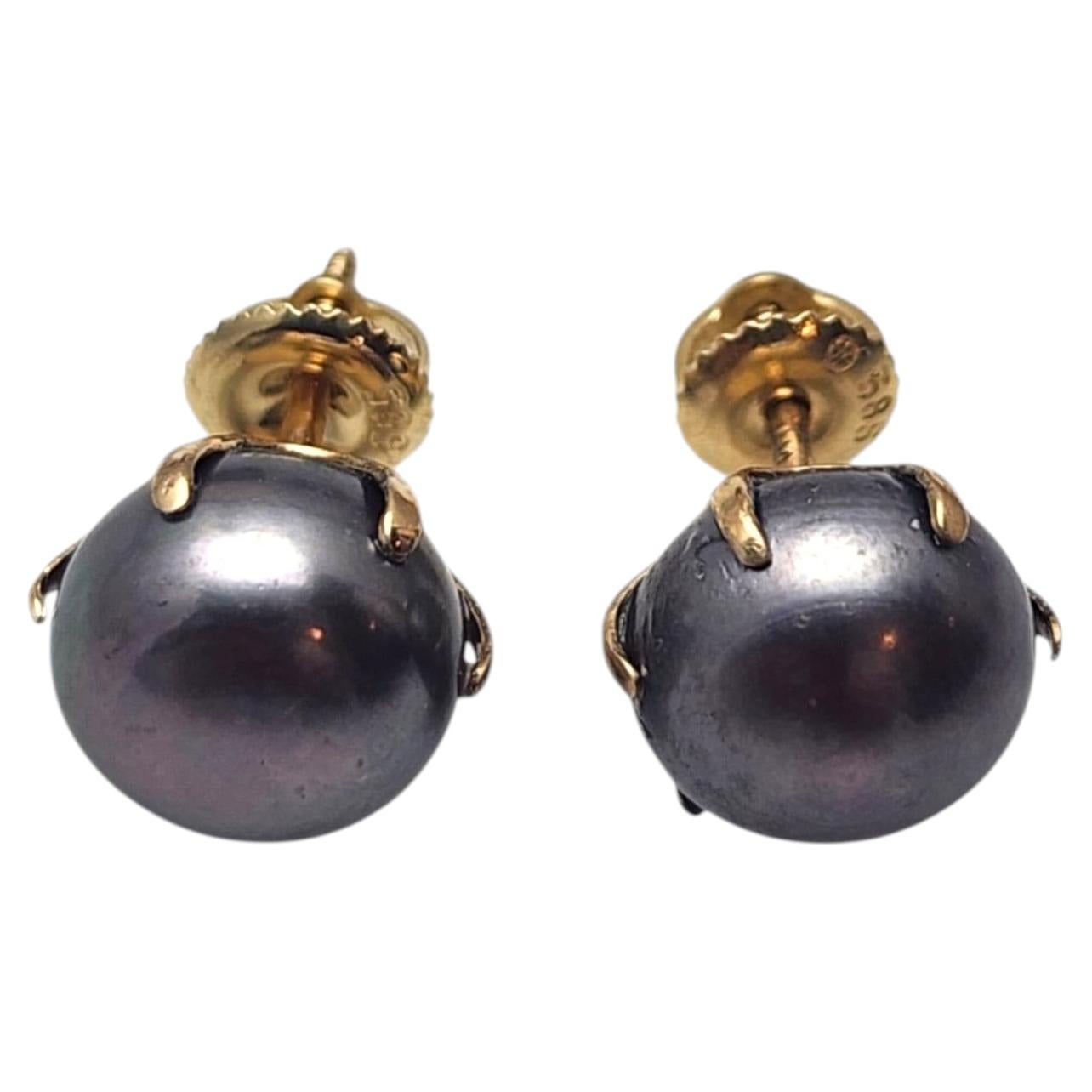 12K Yellow Gold Black Pearl Stud Earrings #25796 For Sale