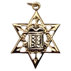 14K Yellow and White Gold Star of David with Torah Pendant #25811