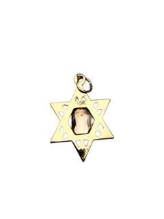 14K Yellow and White Gold Star of David with Torah Pendant #25811