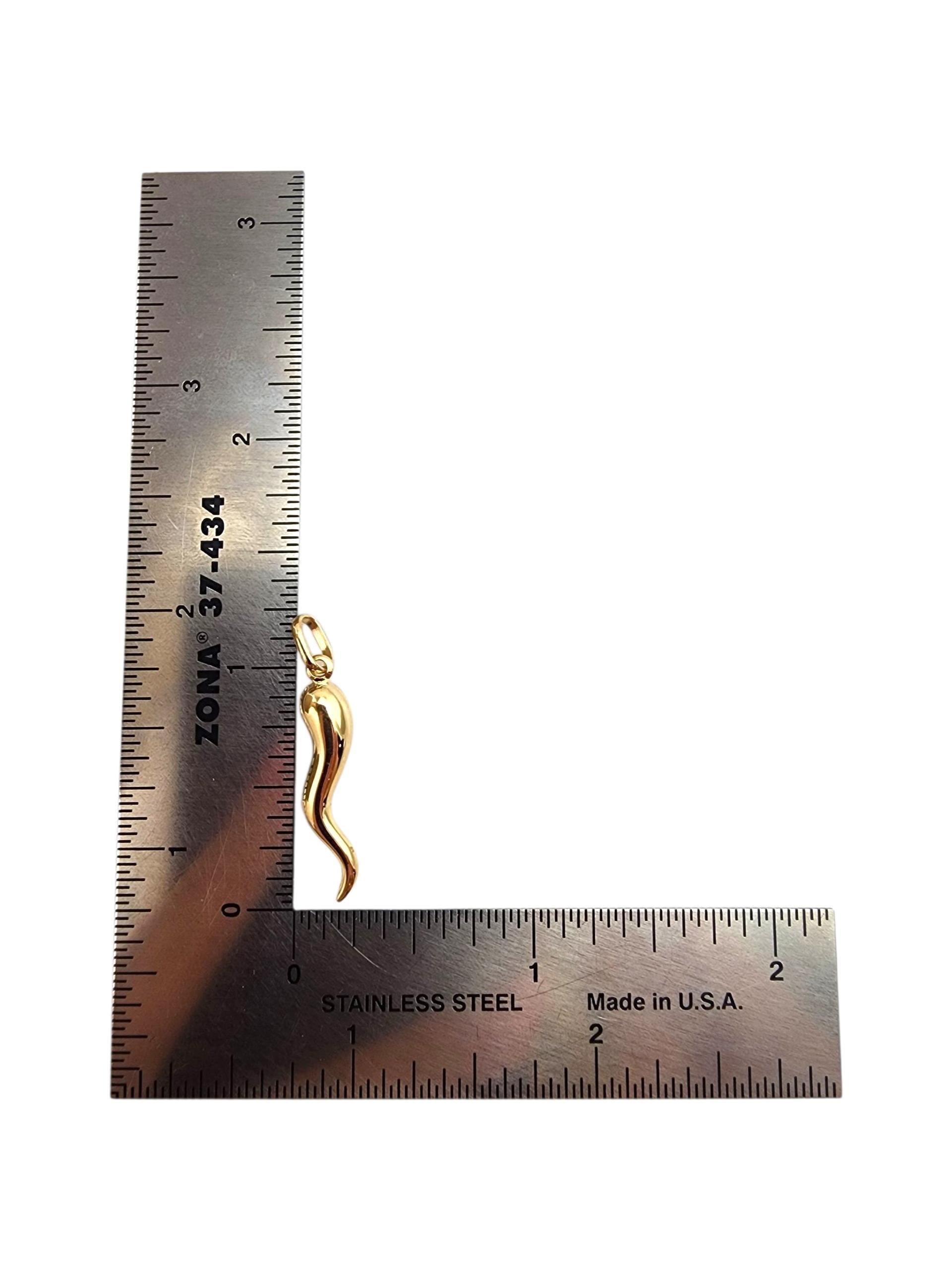 Charme en or jaune 14K en forme de corne italienne #22353 en vente 2