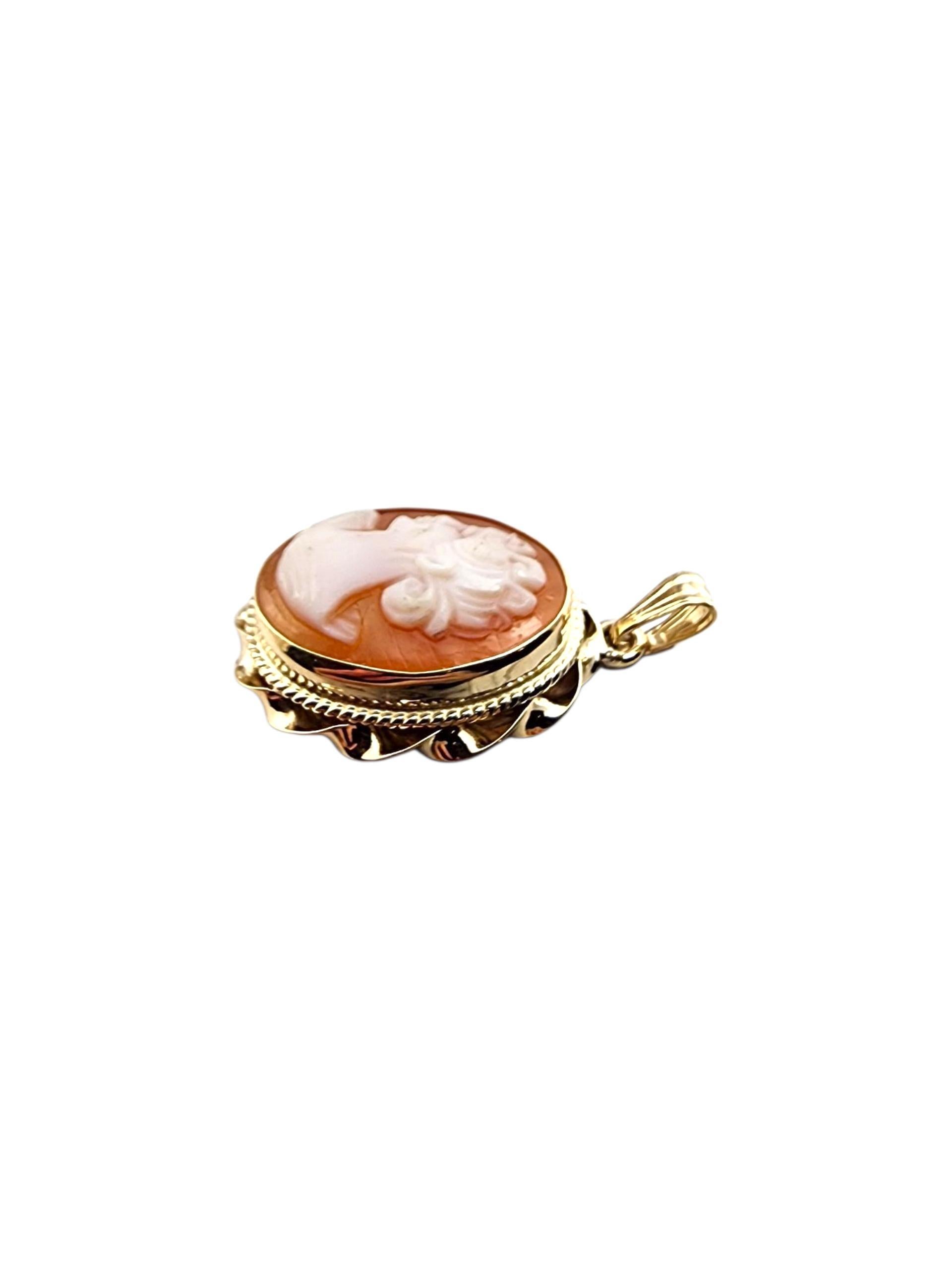 Ciondolo cammeo in oro giallo 14K #22340 in vendita 1