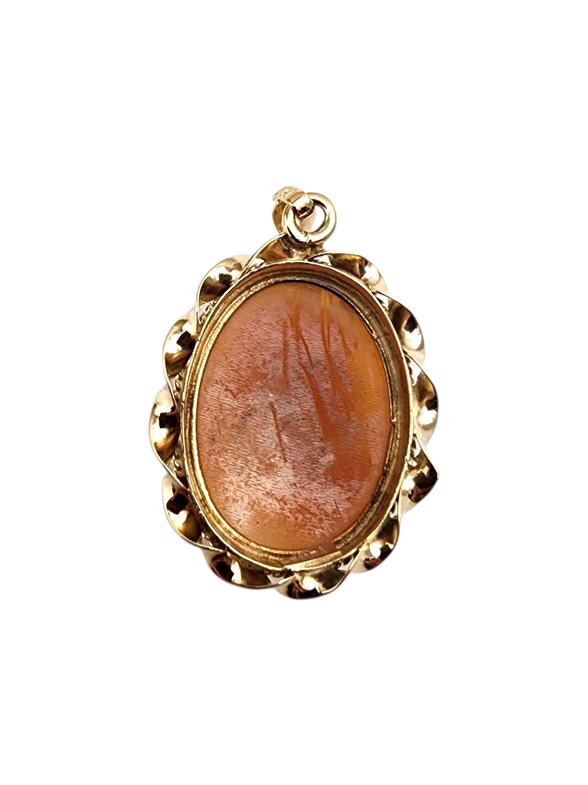 Ciondolo a forma di cammeo in oro giallo 14K

Questa elegante spilla cammeo in oro giallo 14K presenta un profilo finemente dettagliato intagliato a mano su uno sfondo caldo e contrastante. Incorniciato in un classico castone d'oro, unisce il