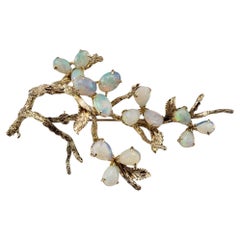 Broches
