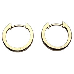 14K Yellow Gold Mini Hinged Hoop Earrings #25856