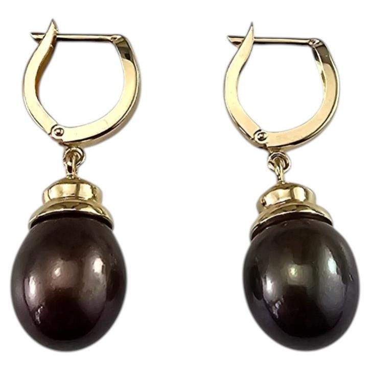 14K Yellow Gold Black Pearl Dangle Earrings #25983 For Sale