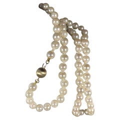 14 Karat Yellow Gold 5.5mm Japanese Akoya Cultured Pearl  Necklace