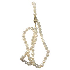 Perla coltivata Akoya in oro giallo 14 carati da 5,5 mm  Collana