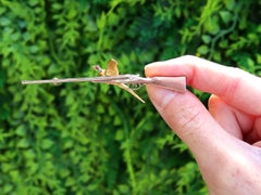 Broche vintage en émail et or 9 carats représentant un faisan et un fusil de chasse (1964)
