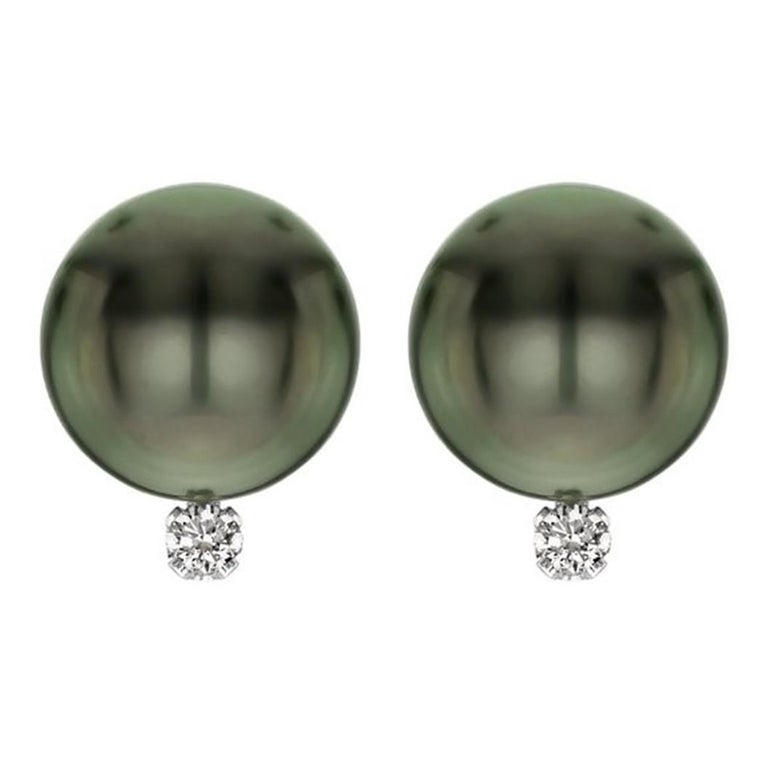 14 Karat Gold Aaa Tahitian Cultured Pearls With 1 10 Carat Diamond 14 Karat Gold Aaa Tahitian Cultured Pearls With 1 10 Carat Diamond Earrings For