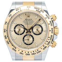 Rolex Cosmograph Daytona 126503 SS Champagne Index Dial Auto Men's Watch 40mm