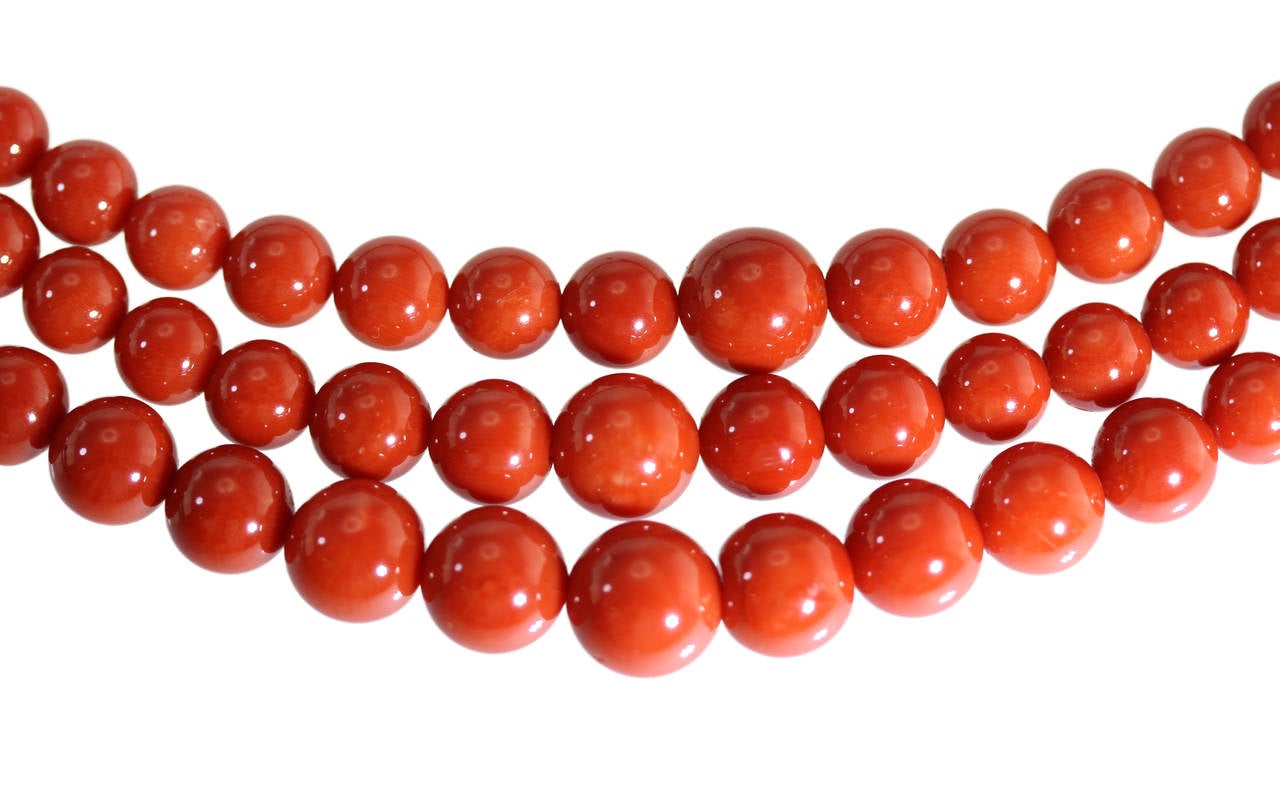 An 18 karat gold and coral bead necklace, the triple strand necklace of graduated design composed of 264 deep red coral beads measuring 5.5.5 by 5.54 mm. to 10.59 by 10.58 mm., gross weight 108.5 grams, length 21 1/4 inches, width at front 1 inch,