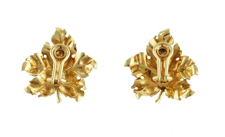 A pair of 18 karat yellow gold leaf earclips by Buccellati, designed as stylized textured gold maple leaves, gross weight 15.5 grams, measuring 1 1/4 by 1 1/4 inches, signed Federico Buccellati, circa 1970's.   These earclips feature the gold