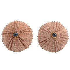 Andrew Clunn Shell with Sapphire Earrings