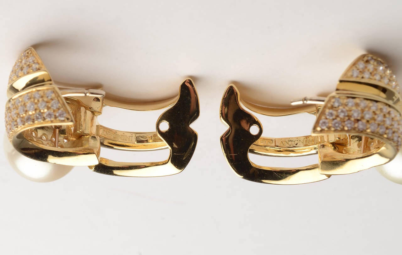 Women's Antonini Pearl Diamond Gold Earrings
