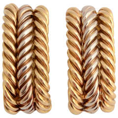 BiColor Gold Elongated Hoop Earrings