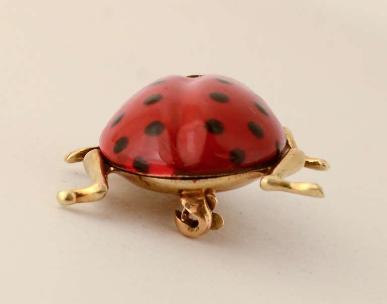 maurice ladybug