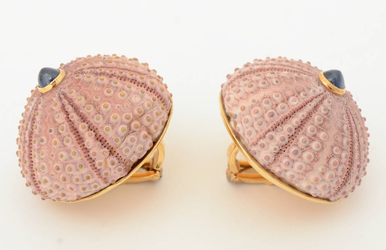 These Andrew Clunn earrings are large and stunning. Textured pink genuine shells are centered with cabochon sapphires. They are set in 18 karat gold. Measurements are 1 1/8