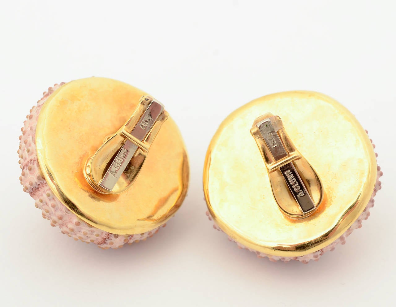 Modern Andrew Clunn Shell with Sapphire Earrings