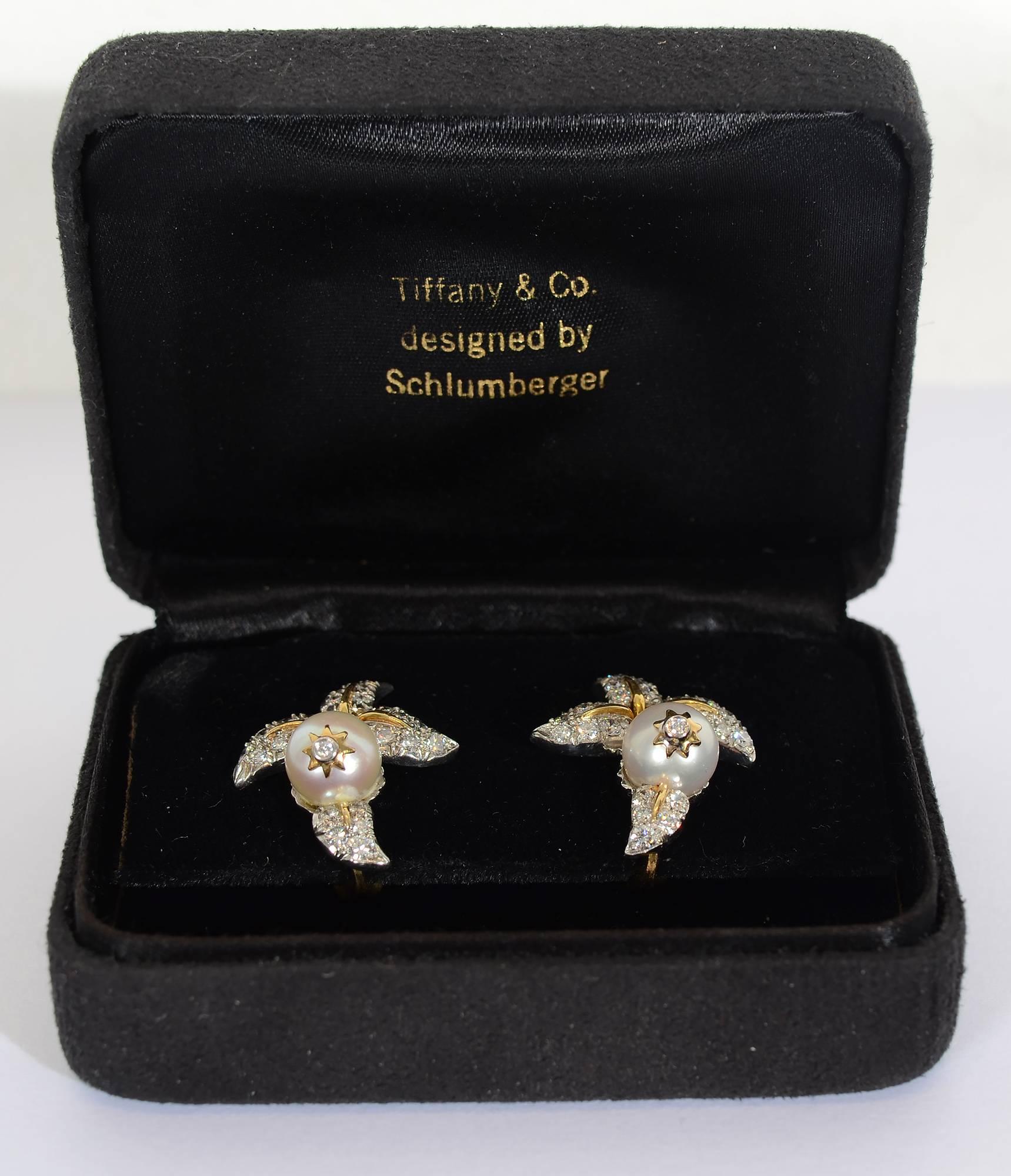 Women's Tiffany & Co. Schlumberger Diamond  Pearl Earrings