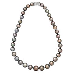 Tahitian Pearl Necklace