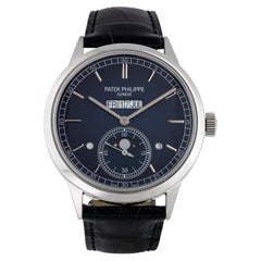 Patek Philippe Grand Complications Perpetual Calendar Platinum Watch