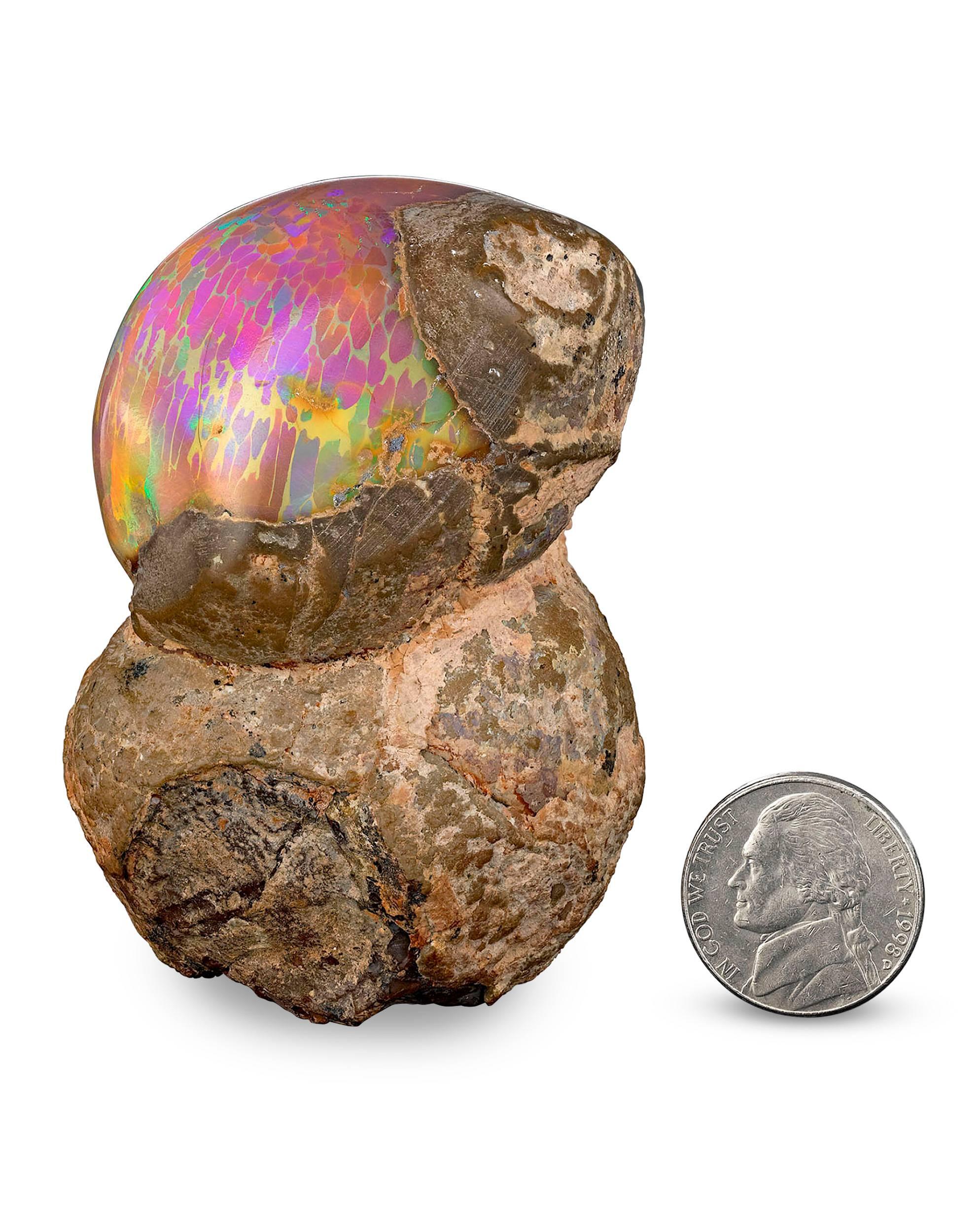 Questo straordinario esemplare di opale Mezezo proviene dagli altipiani dell'Africa ed è, semplicemente, uno degli opali più sorprendenti che abbiamo mai visto. Trovato nella provincia di Amhara in Etiopia, questo esemplare pesa ben 791,61 carati ed