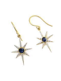 Natural Blue Sapphire 0.63CTS & Diamond 0.27CTS Earring in 14k Gold