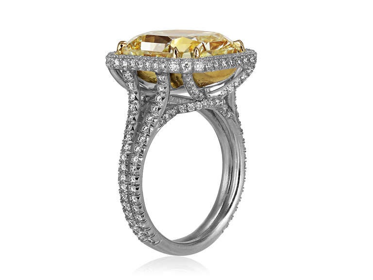 Rare natural canary radiant diamond 10.04 carat cluster ring consisting of one square cut diamond weighing 10.04 carat FY /VVS2 GIA certificate #2155748912 surrounded by full cut diamonds weighing approximately 1.05 carats set in platinum