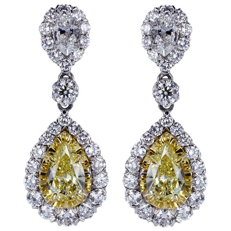 Canary Diamond Gold Earrings