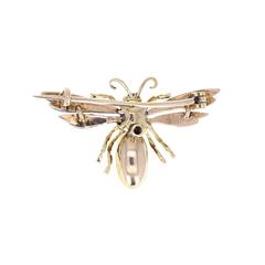 Antique Pearl Garnet Diamond Silver Gold Bug Brooch