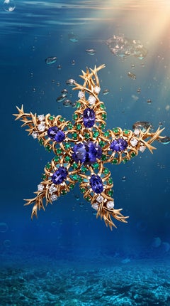 Tiffany Schlumberger, Brosche aus 18-karätigem Gold mit Edelsteinen in Form eines Seesterns