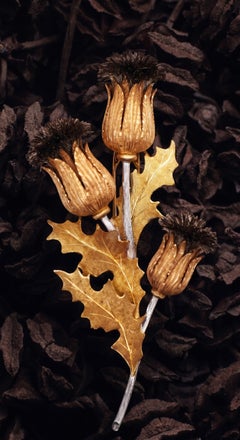 Federico Buccellati 18K Gold Thistle Brooch, Mid-20th Century Design