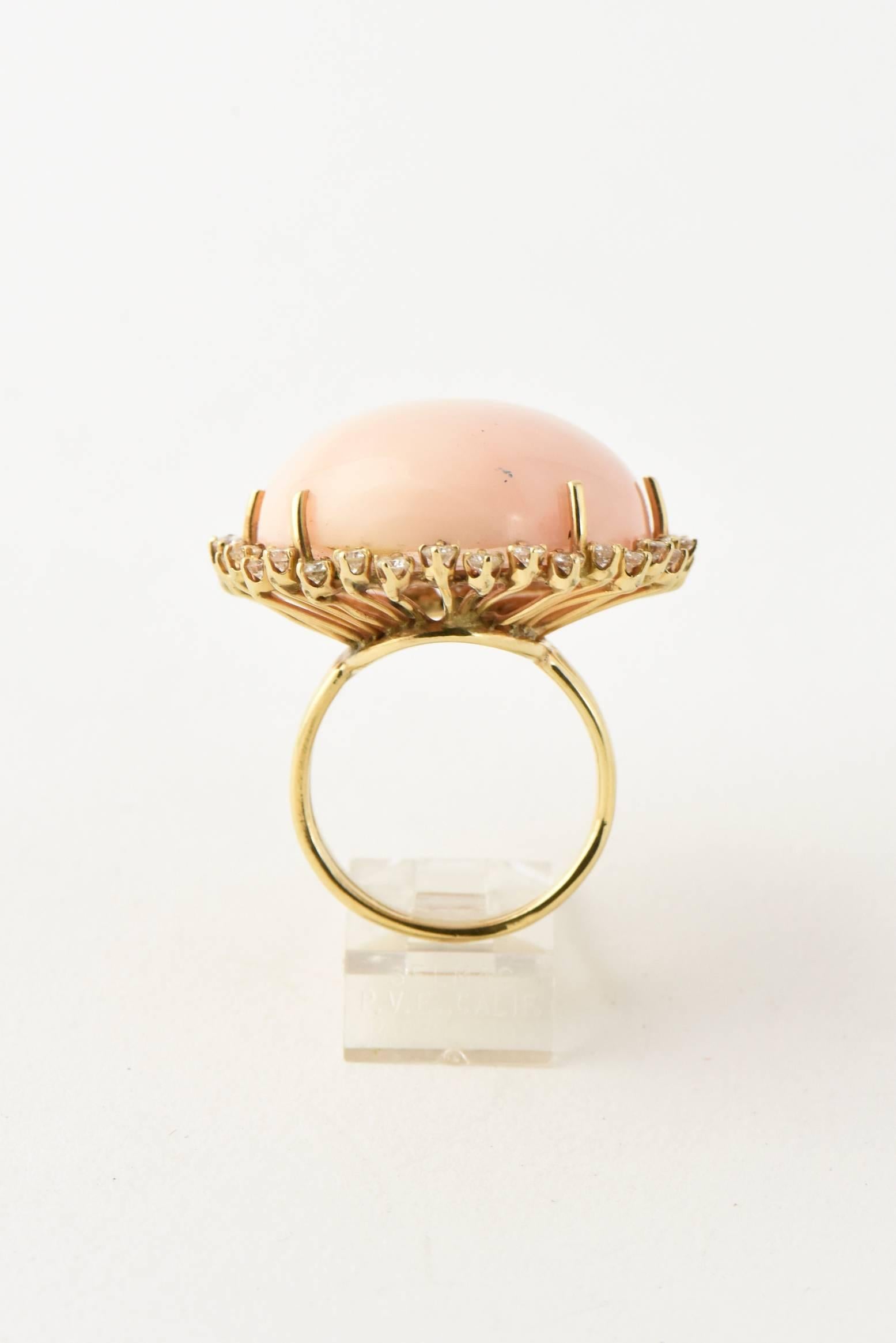 angel coral