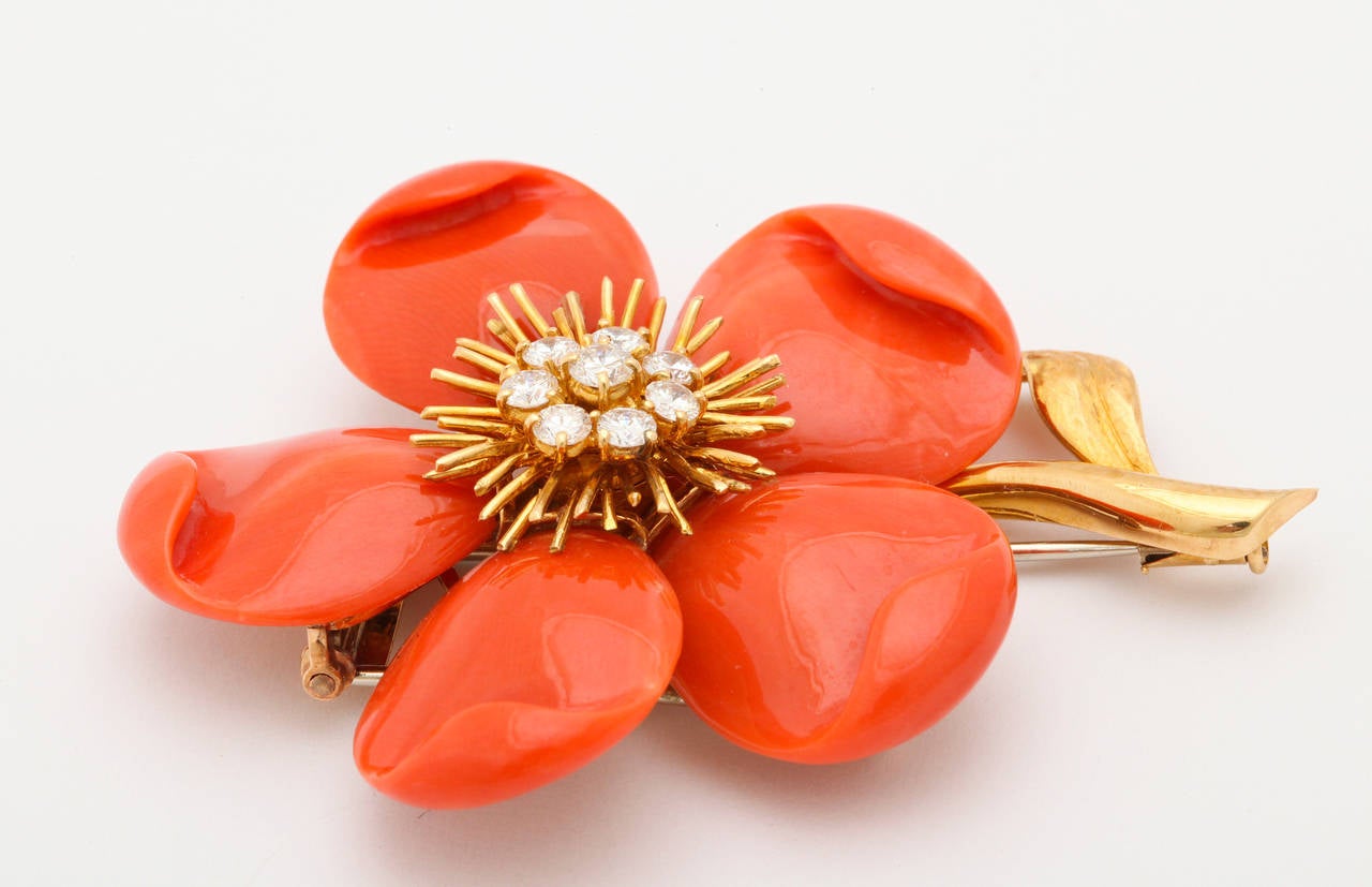 Van Cleef & Arpels Coral Diamond Gold Rose de Noel Brooch