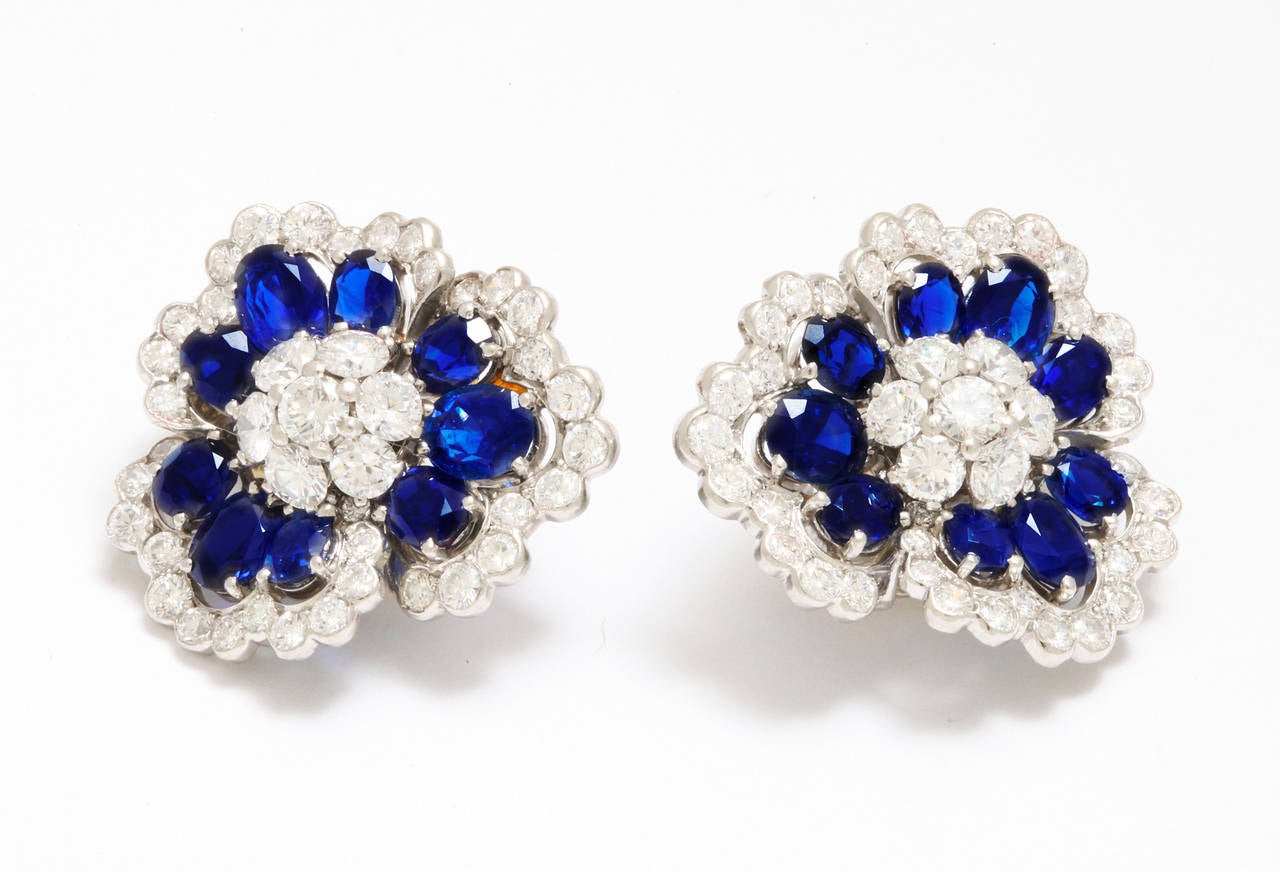 These beautiful earclips, designed as flowers, feature a circular-cut diamond cluster pistil, extending oval-cut sapphire petals and diamond scalloped trim, mounted in platinum.  Signed, numbered and in perfect condition, they are a true treasure by