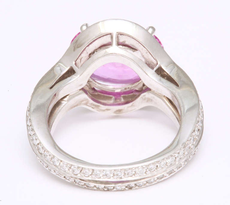 Women's Tanagro Pink Sapphire and Diamond Ring