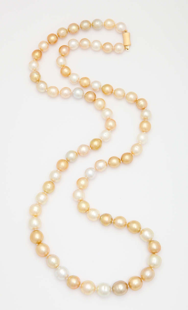 10-14mm graduated South Sea pearl necklace containing 72 pearls from white to golden colors.  High luster and beautiful colors make this an impressive and unique necklace.  The necklace can be worn long (35 1/2 inches) or wrapped twice around the