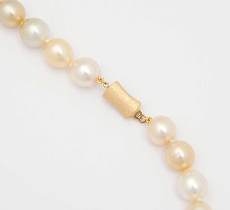 Women's Double Strand Golden and White South Sea pearl Necklace