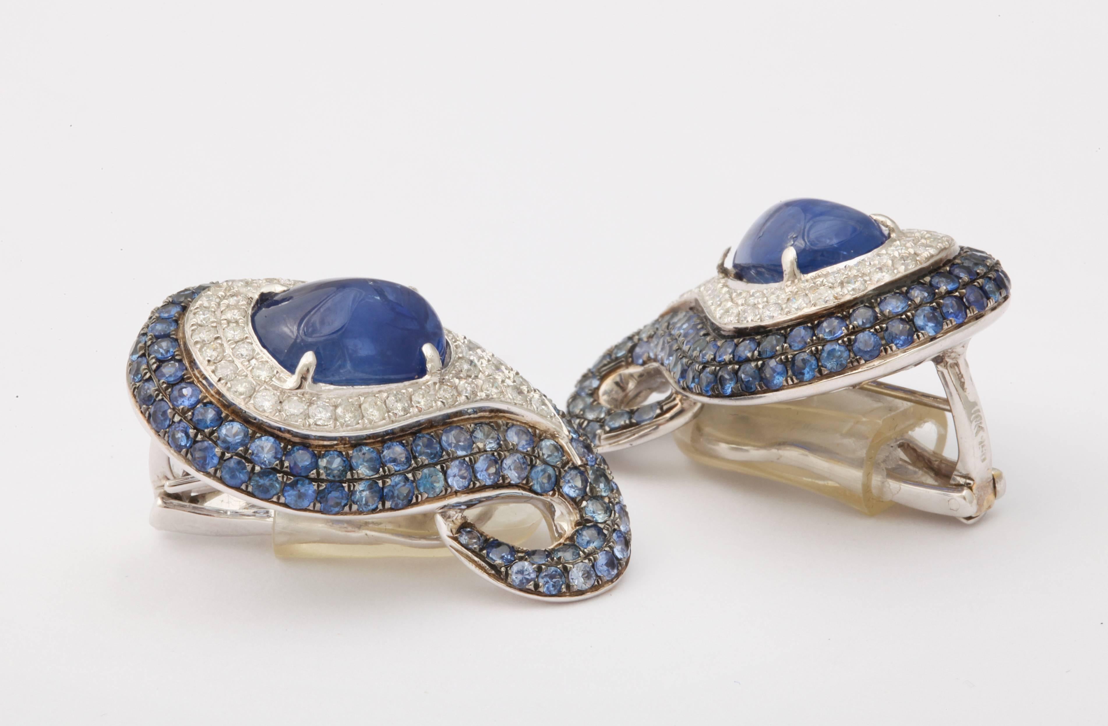 Women's Exotic Sapphire & Diamond Paisley Earclips