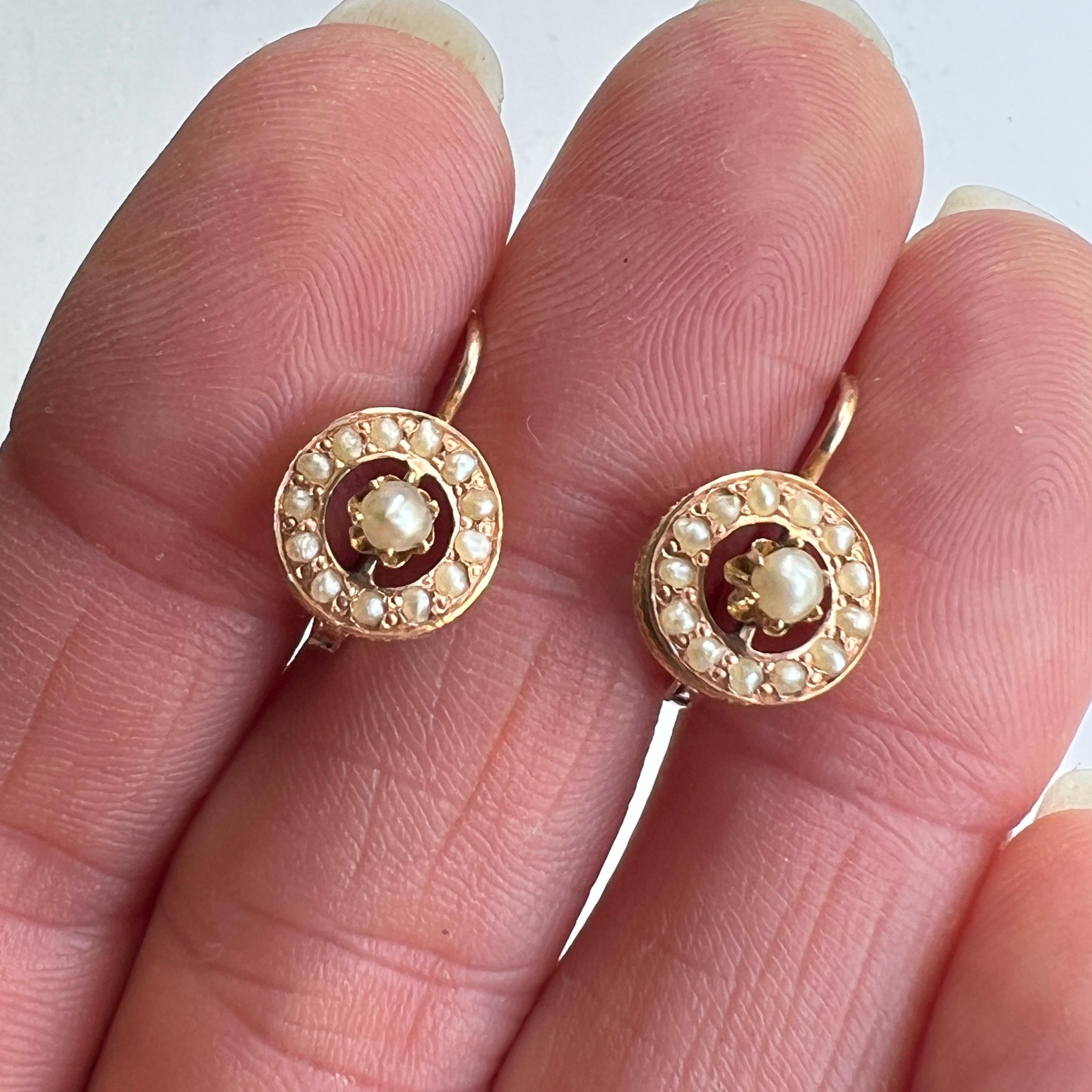 Victorian Antique 14 Karat Yellow Gold Seed Pearl Round Drop Earrings For Sale