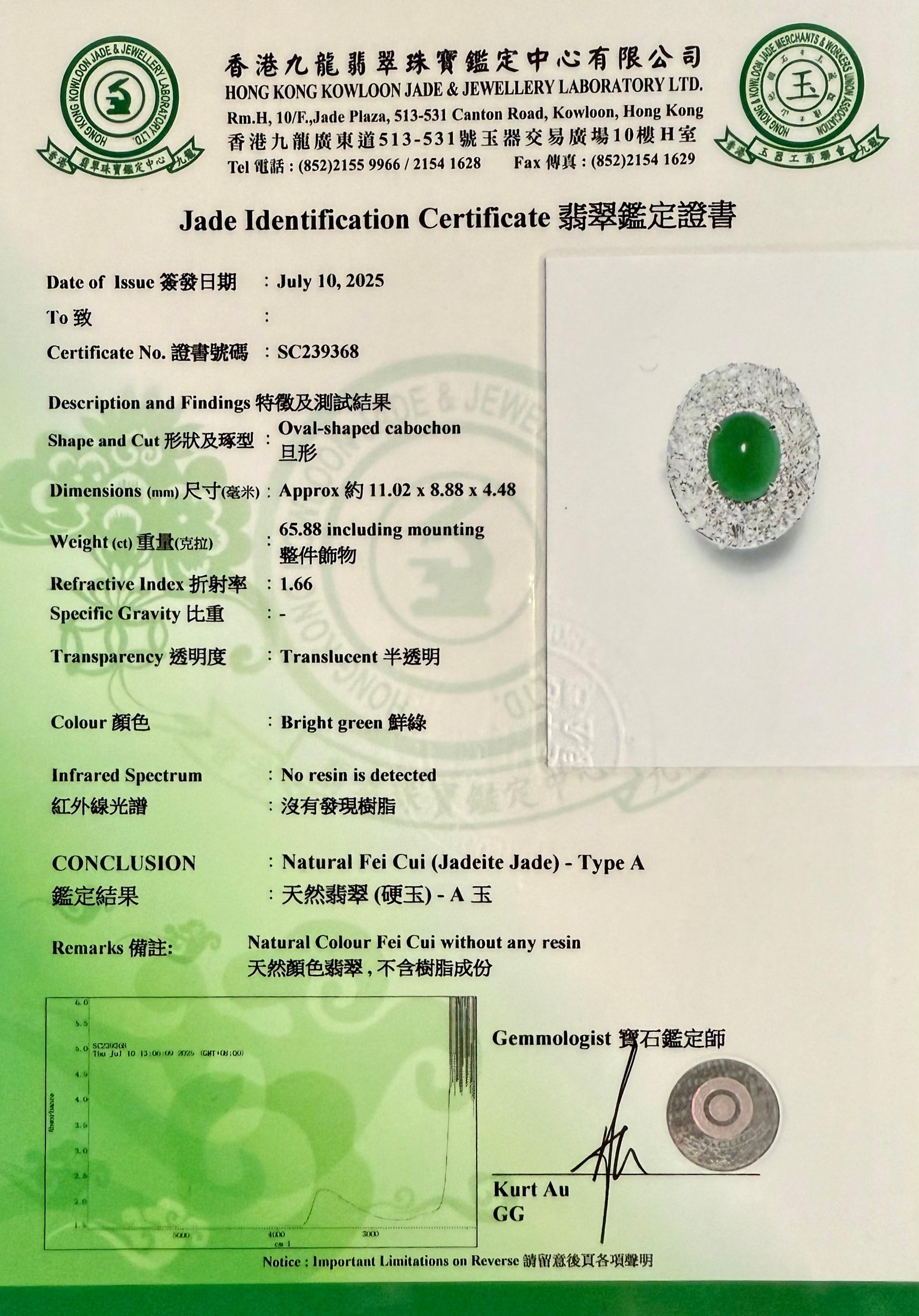 Zertifizierter Jade-Diamantring mit Phantasieschliff. Imperial Green mit Supreme Glow! im Angebot 14