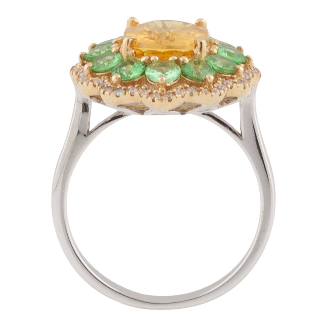 18ct white gold cluster design ring in with 1 oval faceted golden sapphire, 12 light hued Tsavorite garnets, and 48 brilliant cut diamonds. Stones are set in a yellow gold scalloped border with an accompanying white gold ring band.
Sapphire: