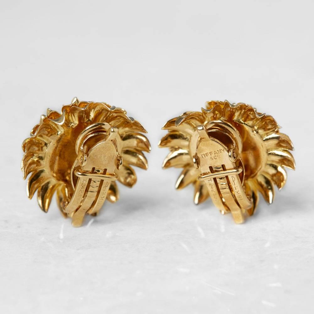 Modern Tiffany & Co. 18 Karat Yellow Gold Chrysanthemum Earrings