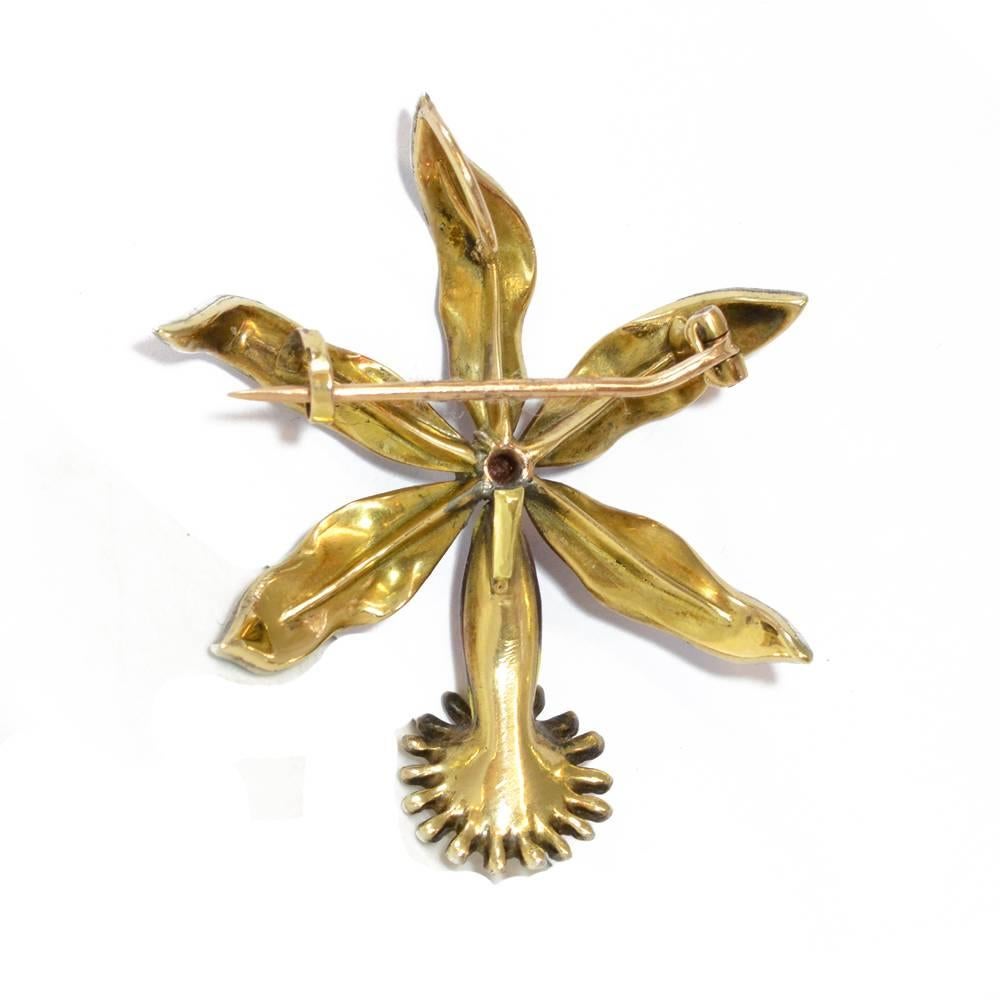 A dark red, yellow and black enamel orchid brooch, with diamond accents. Mounted in 18kt yellow gold.  American, circa 1890.
Measures 4.5cms (1.5