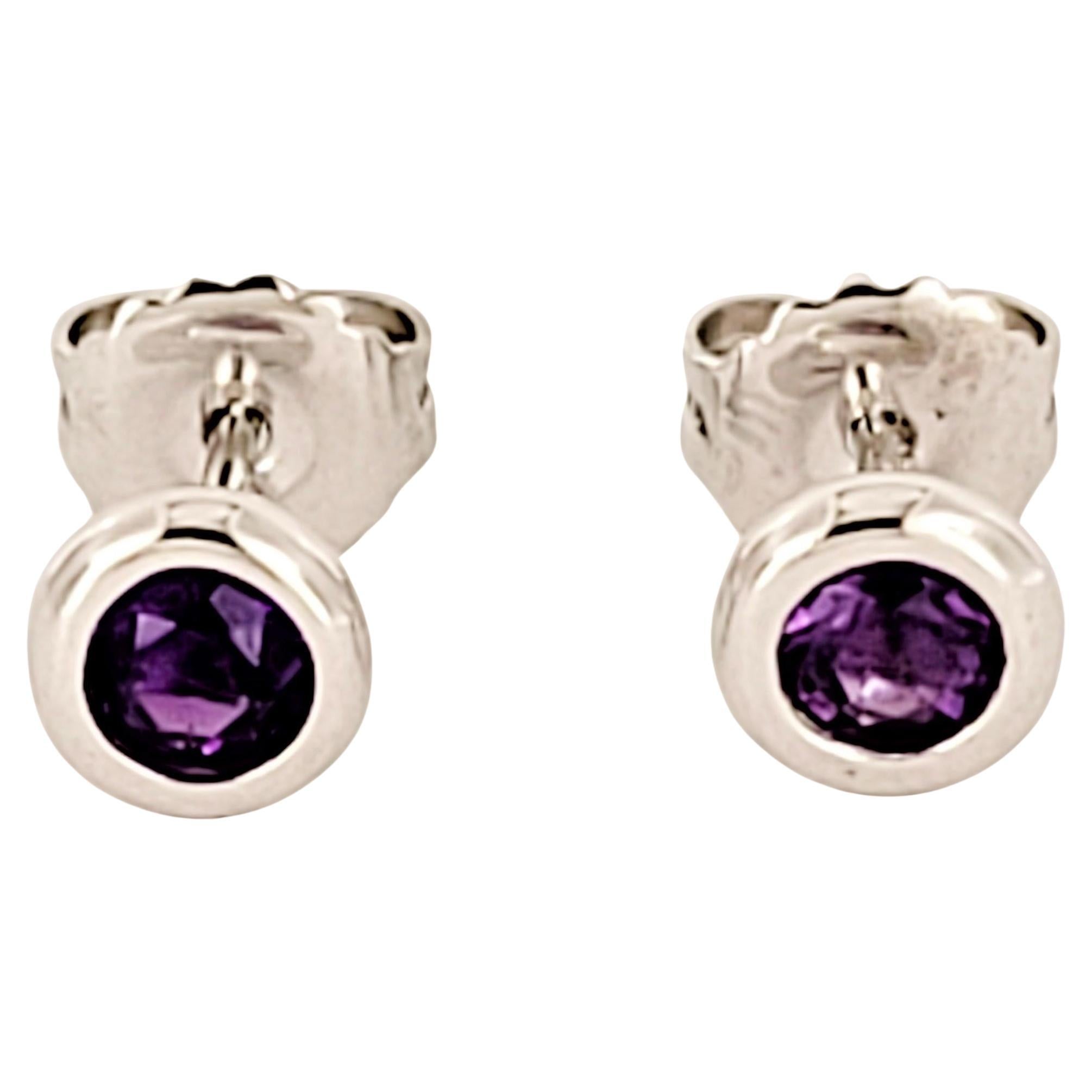 Elsa Peretti  Amethyst  Color by the Yard Ohrringe
